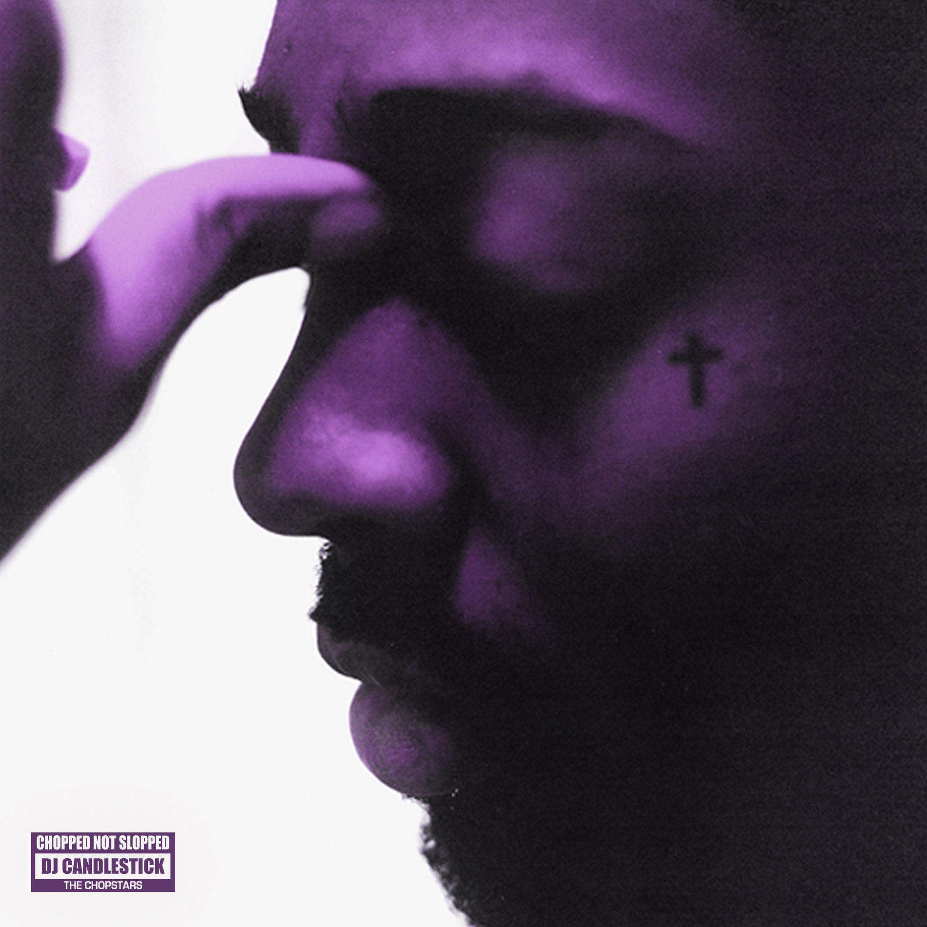 Album cover of PURPLE ICON (CHOPNOTSLOP REMIX)