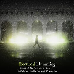 Cover of Electrical Humming