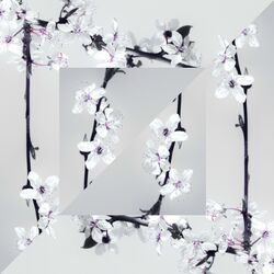 Cover of The Way She Feels