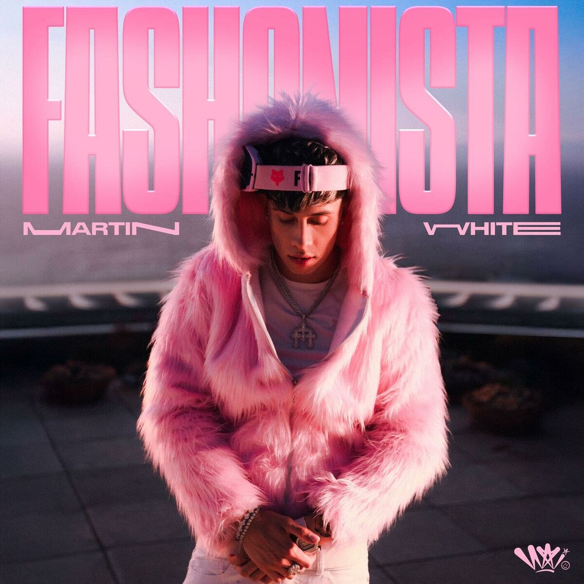 Album cover of FASHONISTA