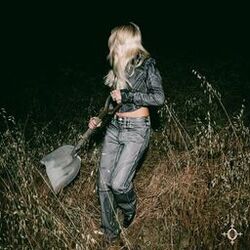 Cover of Grave