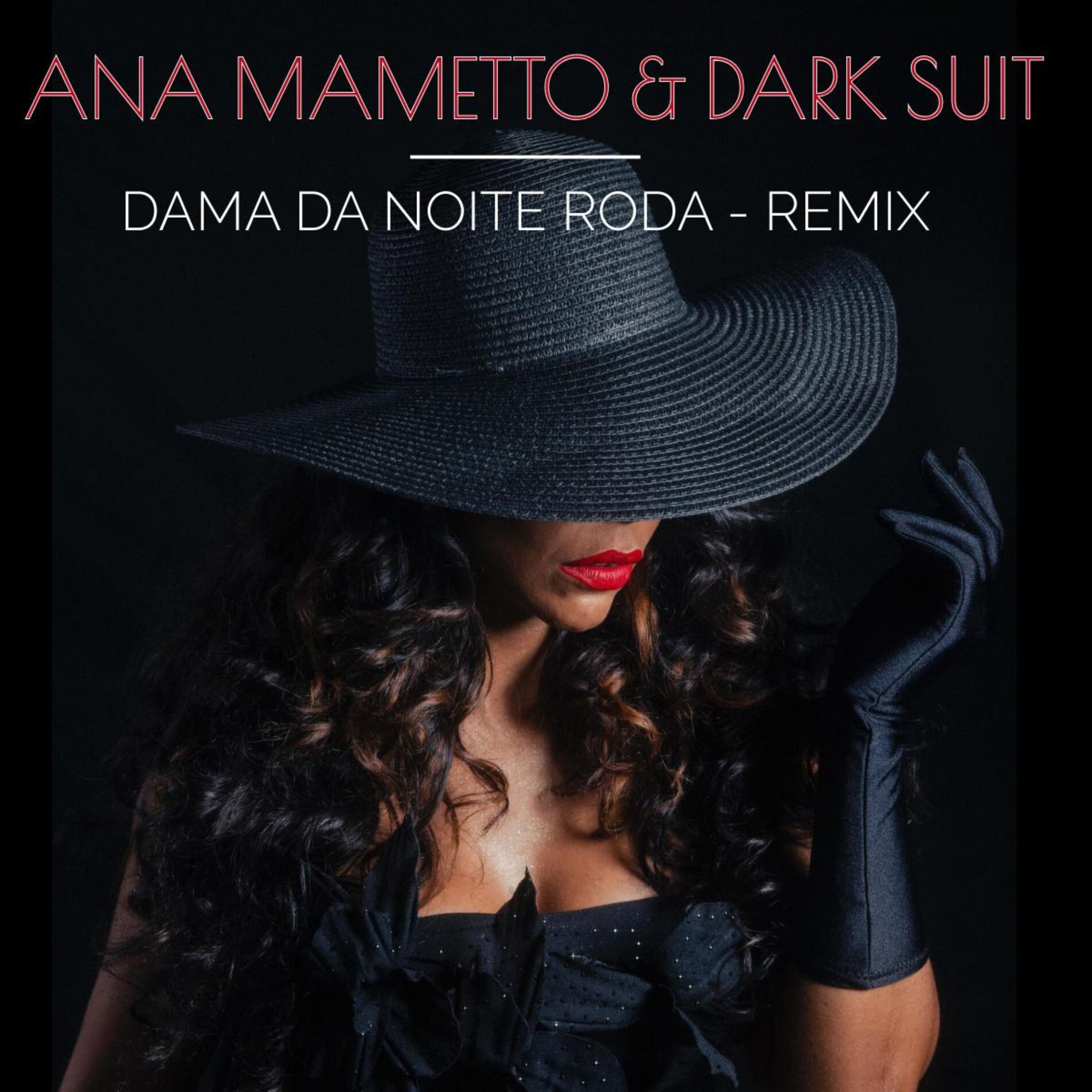 Album cover of Dama da Noite Roda
