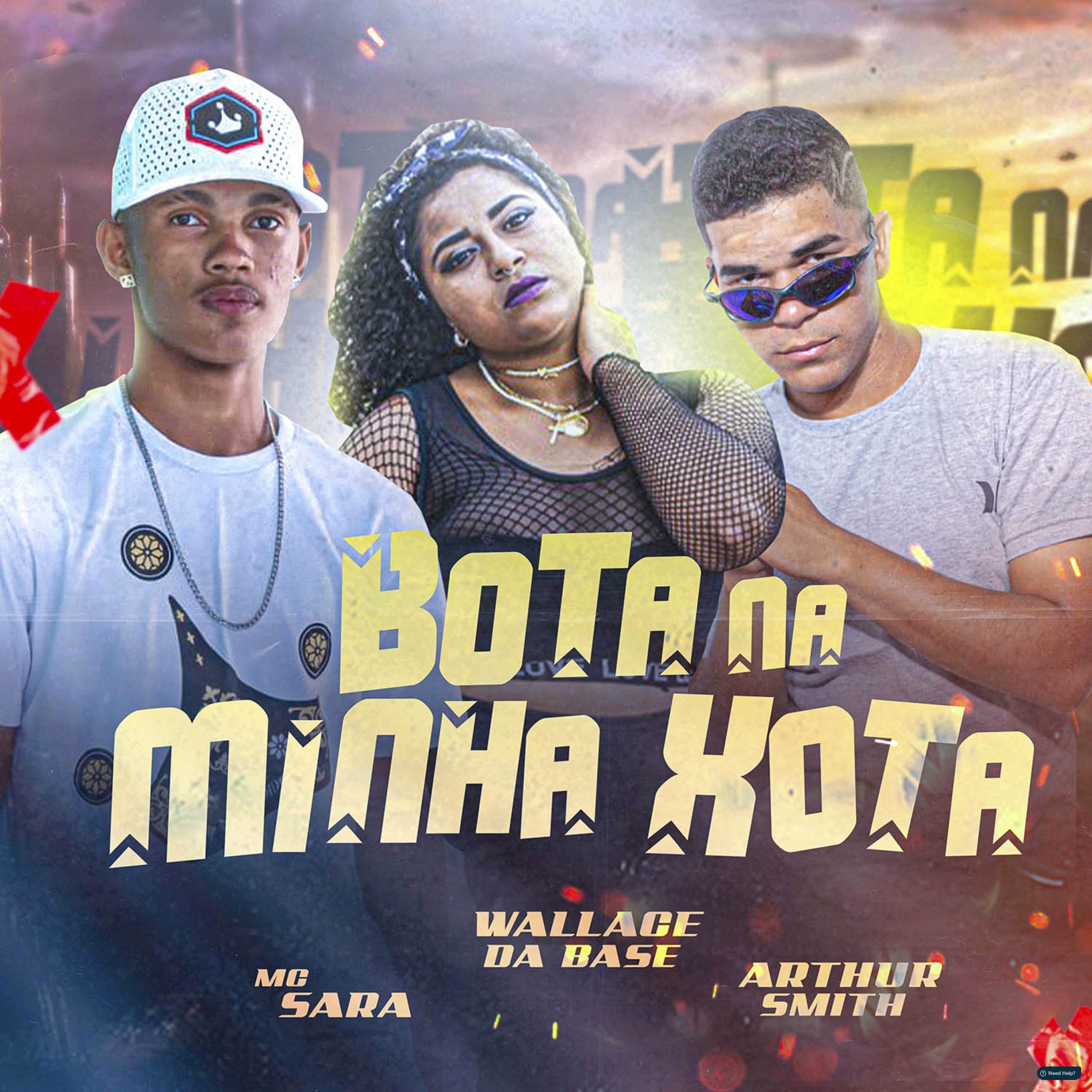 Album cover of Bota na Minha Xota (Brega Funk)