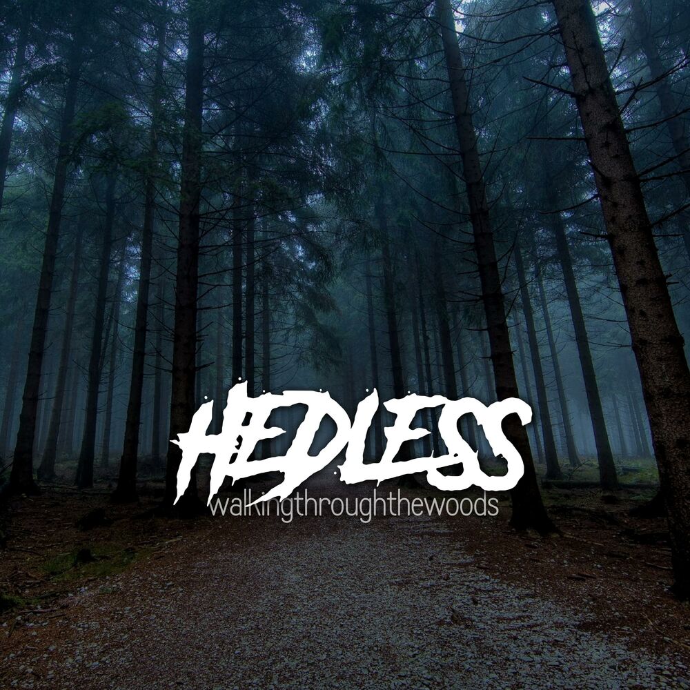 Picture of Walkingthroughthewoods