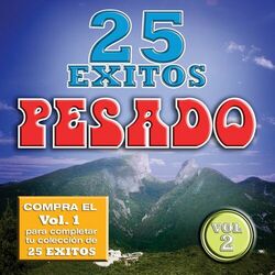 Cover of 25 Exitos Pesados (Vol. 2) (USA)