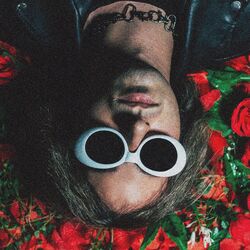 Cover of Nevermind, Guns And Roses.