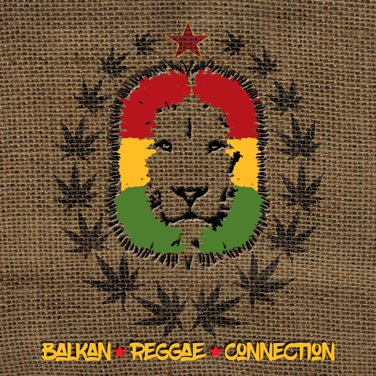 Album cover of Balkan Reggae Connection