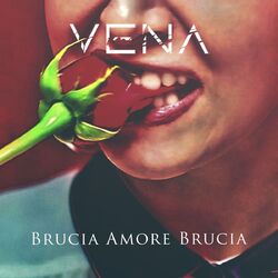 Cover of Brucia amore brucia