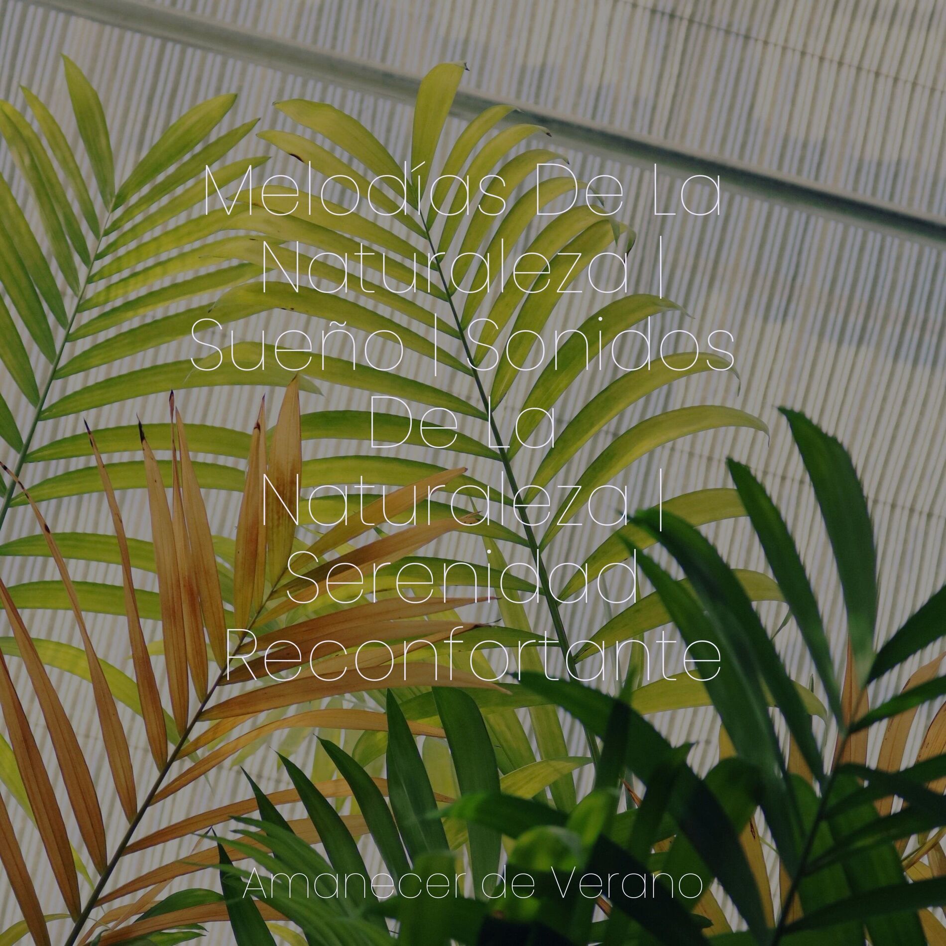 Album cover of Melodías De La Naturaleza | Sueño | Sonidos De La Naturaleza | Serenidad Reconfortante