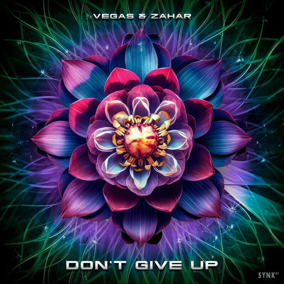 Album cover of Don't Give Up