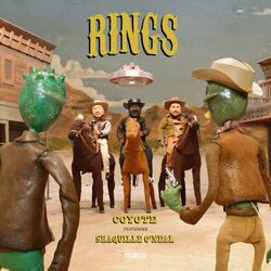 Cover of Rings