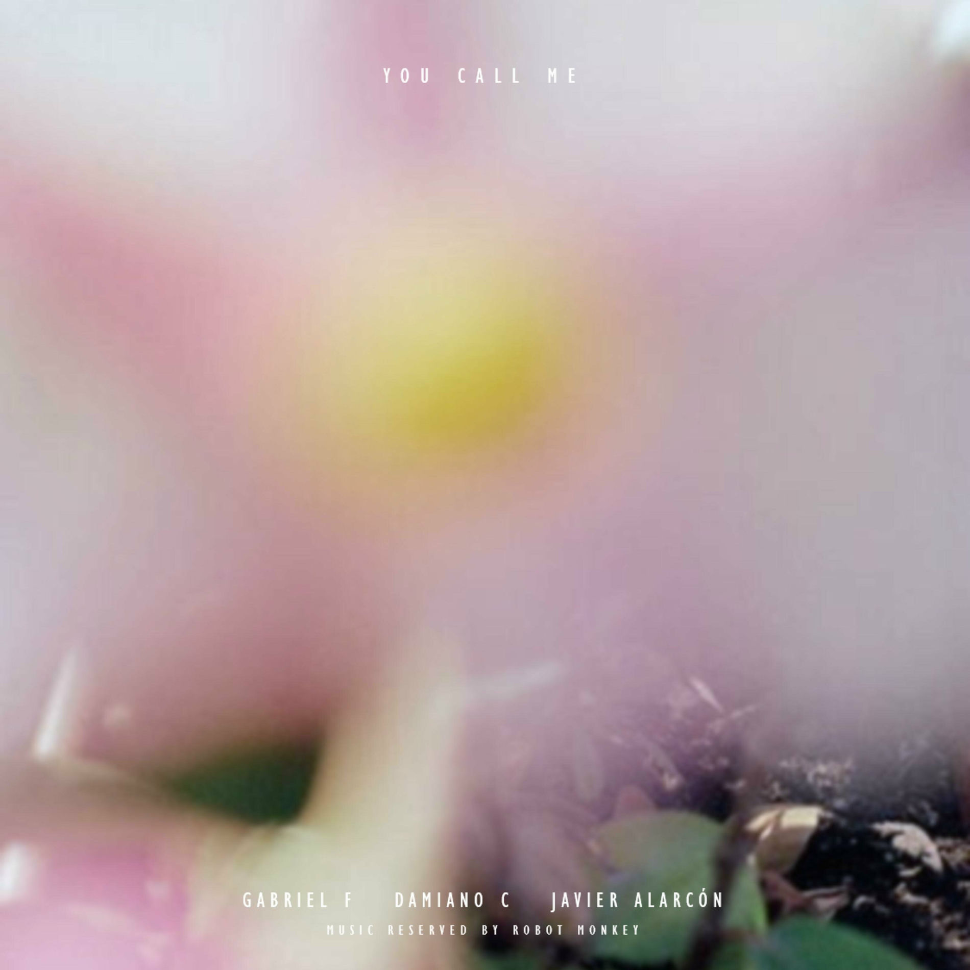 Album cover of You Call Me