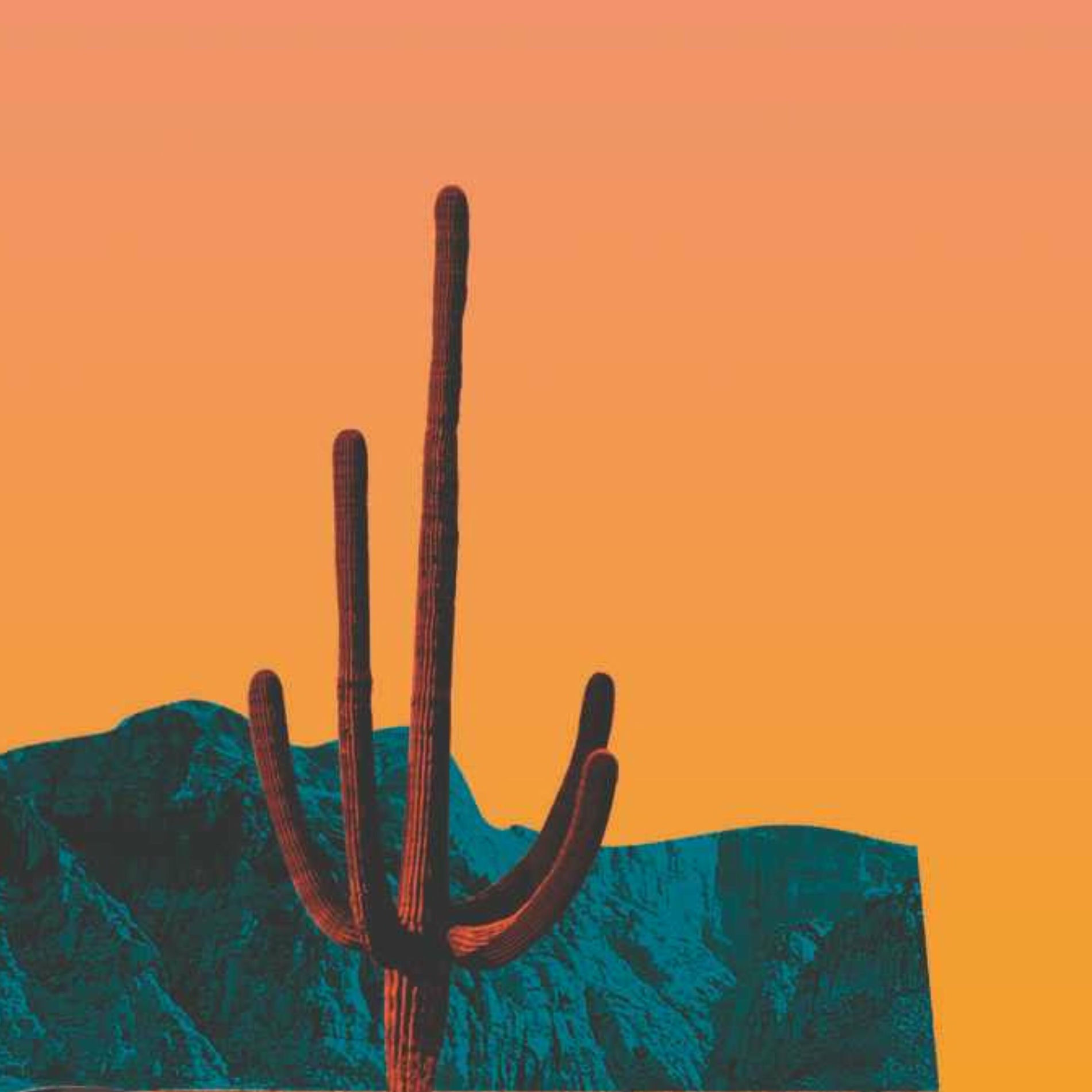 Album cover of Comecocos