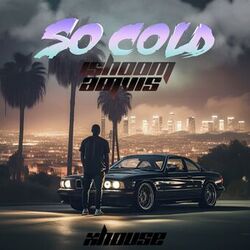 Cover of So Cold