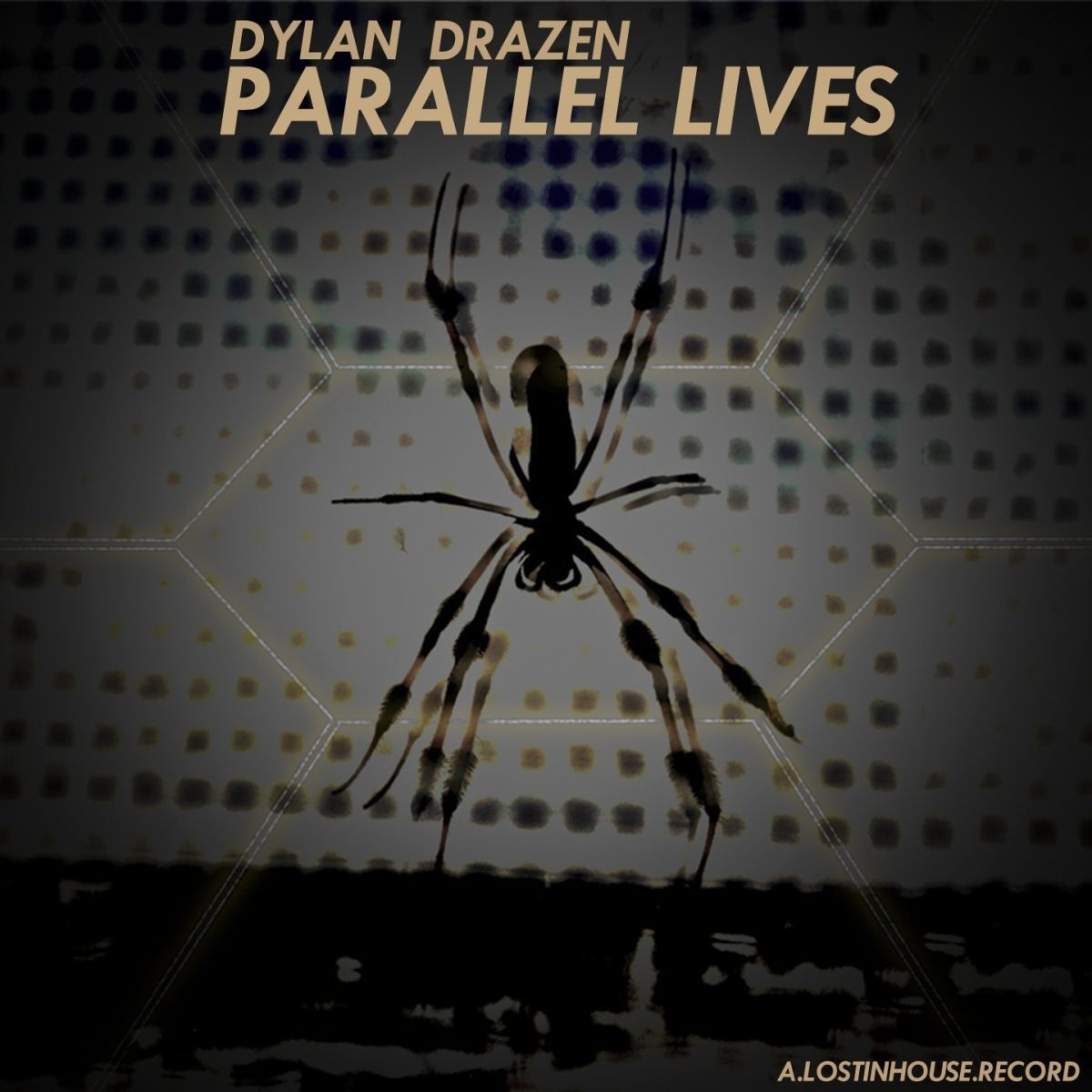 Album cover of Parallel Lives