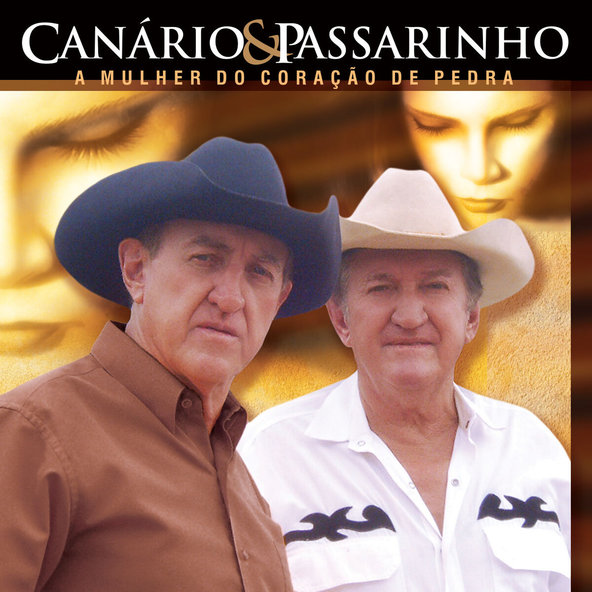 Album cover of A Mulher do Coração de Pedra