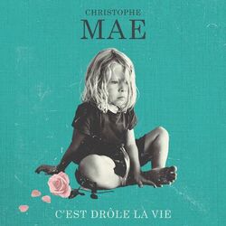 Cover of C'est drôle la vie