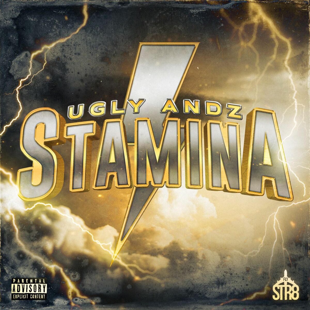 Album cover of Stamina