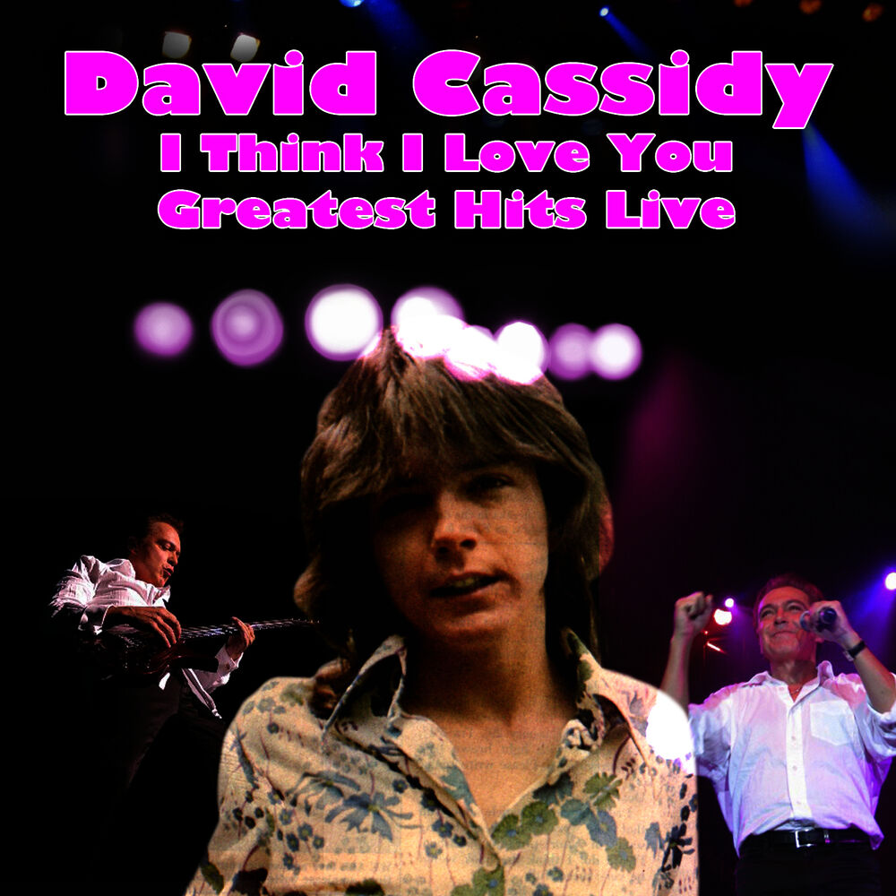 Picture of I Think I Love You - Greatest Hits Live