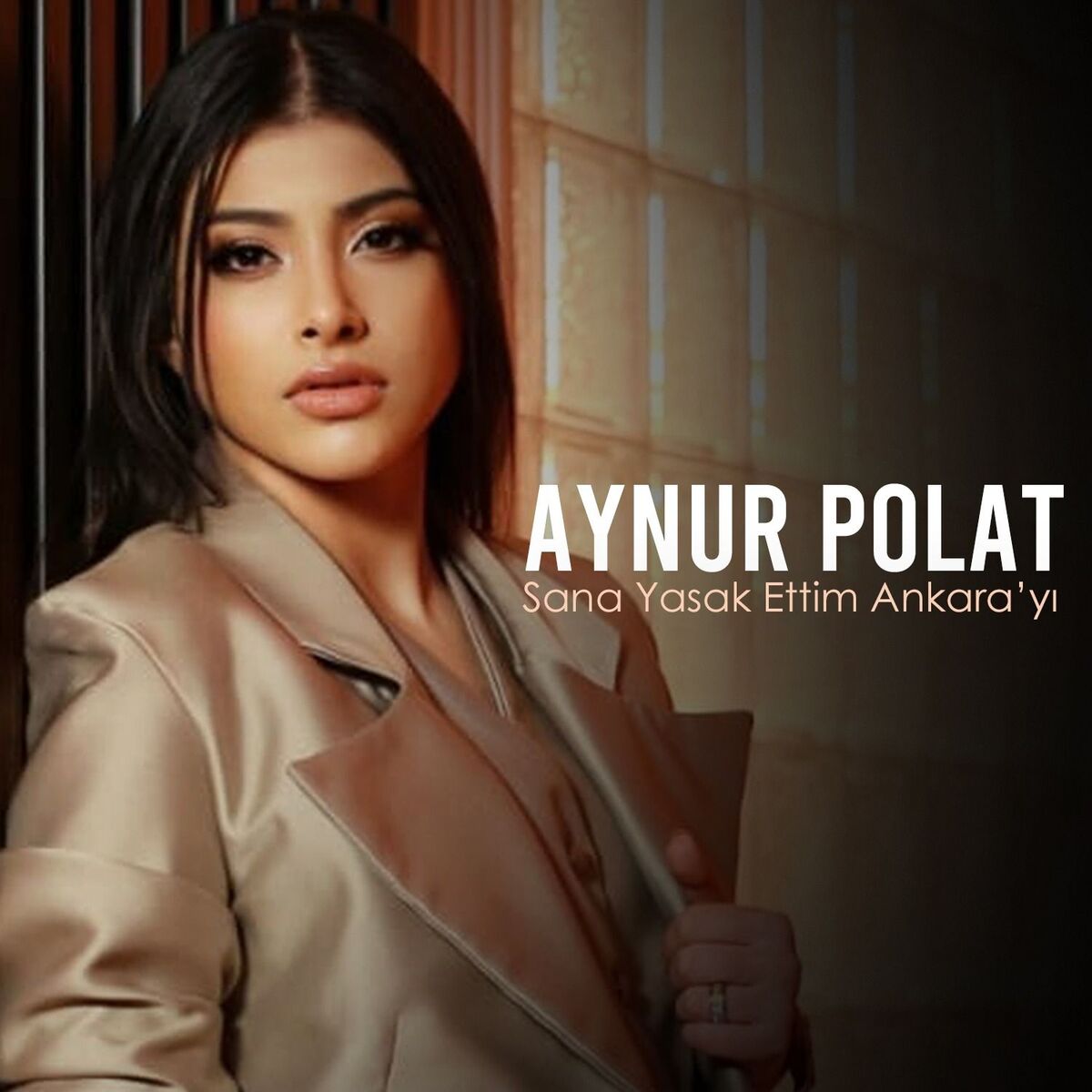 Album cover of Sana Yasak Ettim Ankara'yı