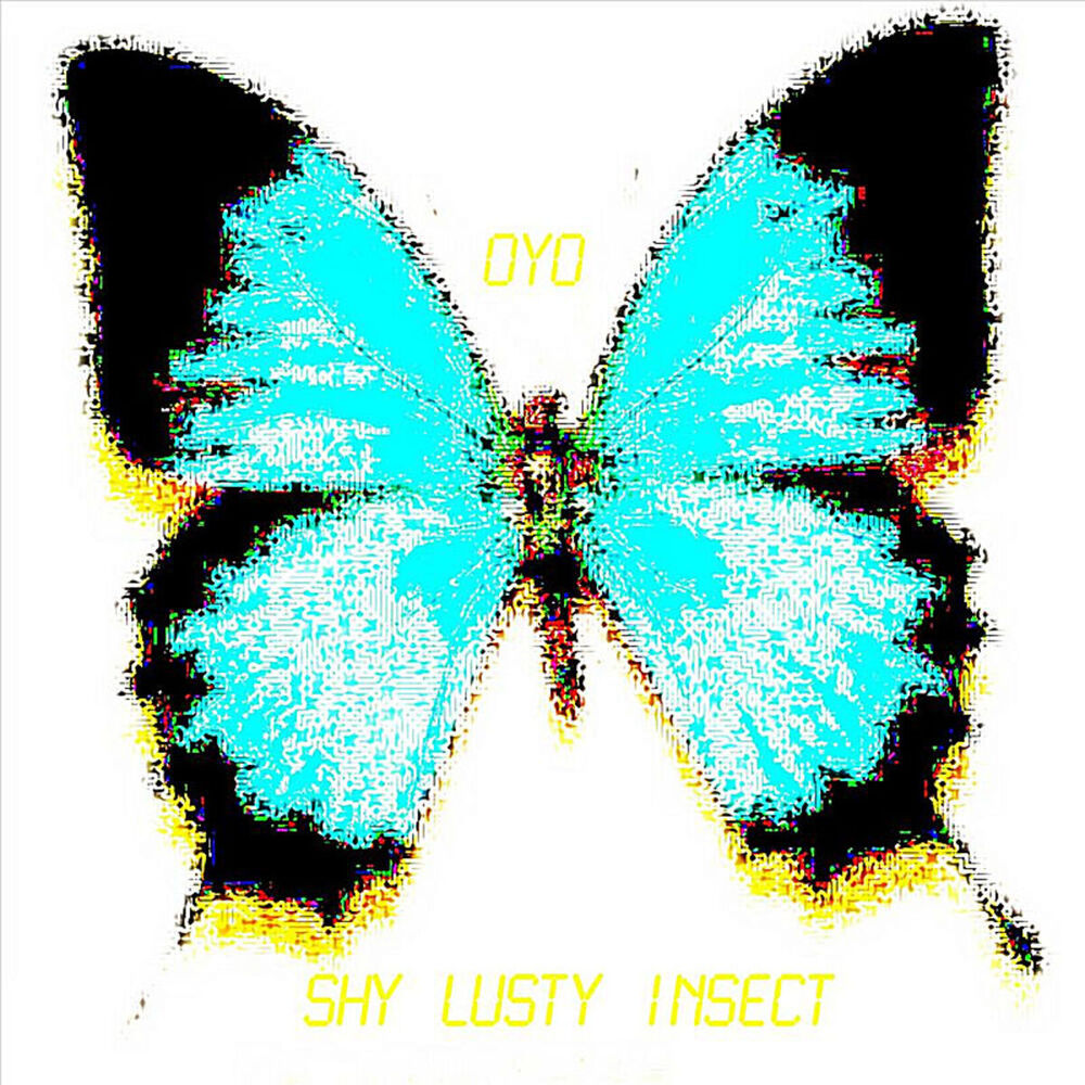 Picture of Shy Lusty Insect