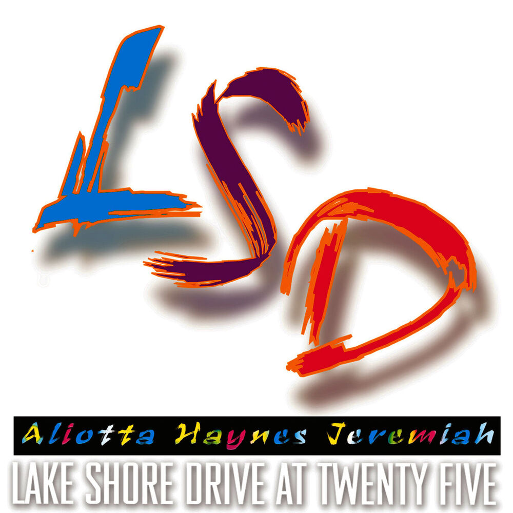 Picture of Lake Shore Drive
