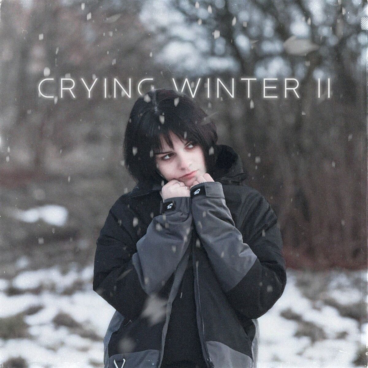 Album cover of CRYING WINTER II