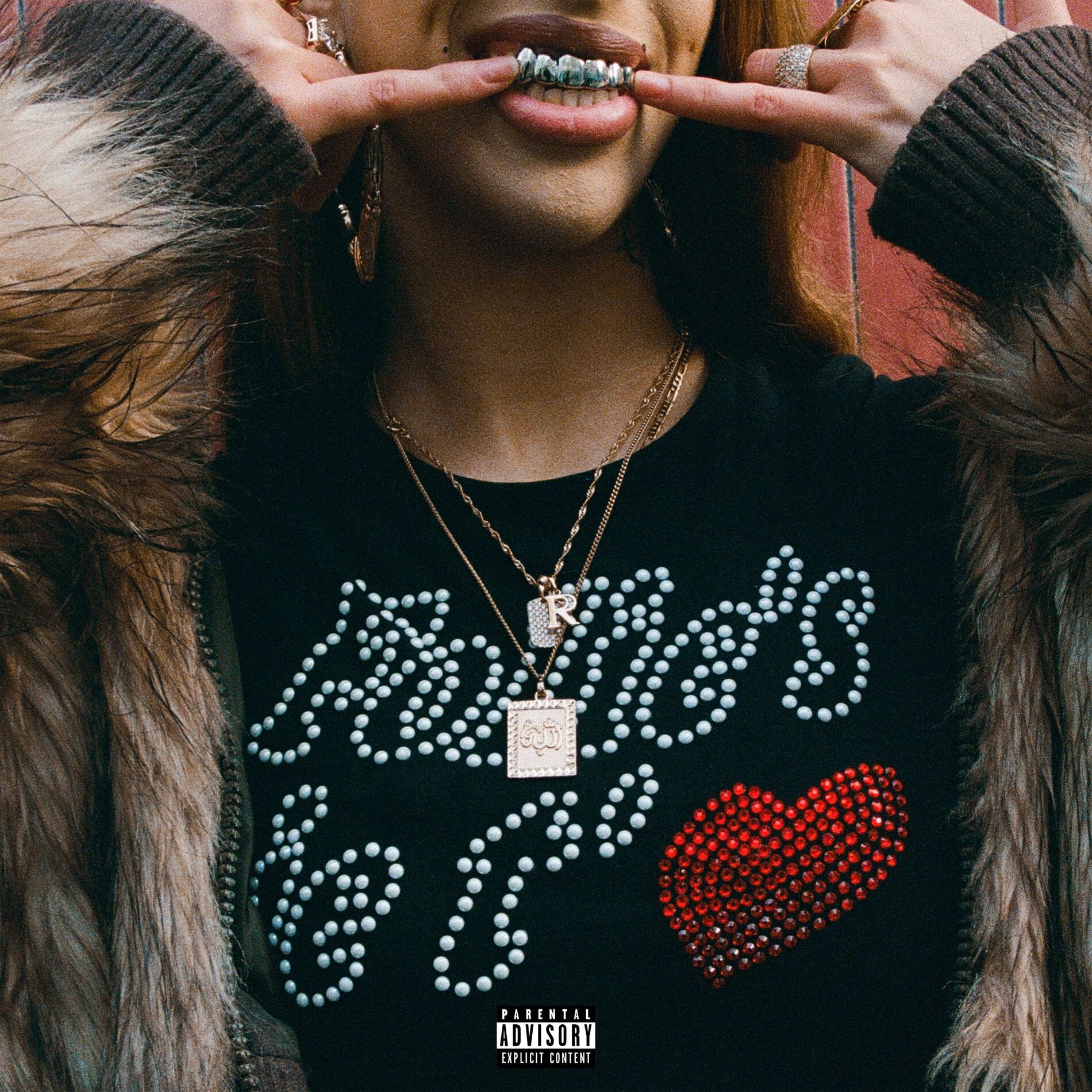 Album cover of Nosleeve