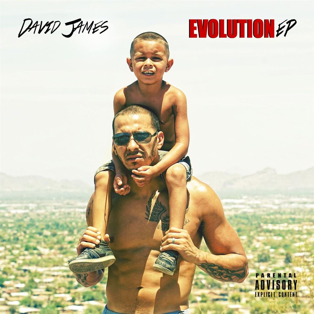 Picture of Evolution