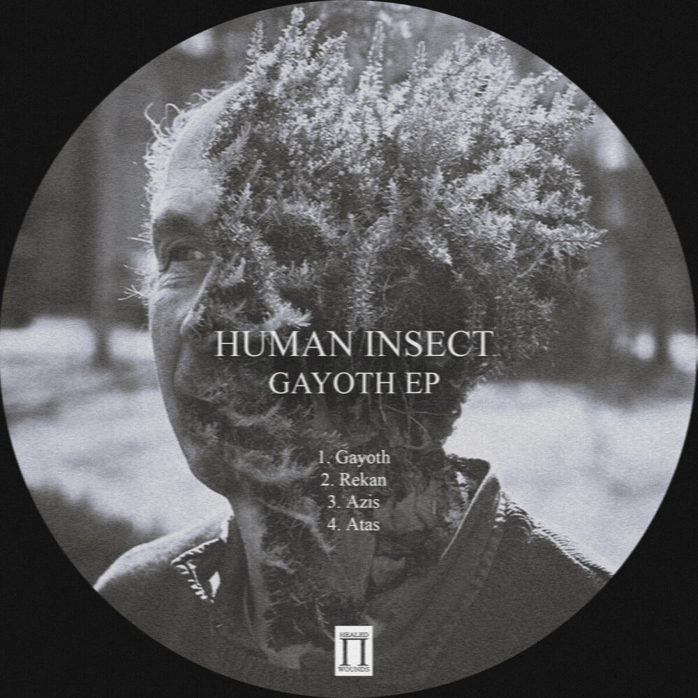Picture of Gayoth EP