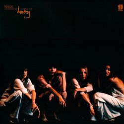 Cover of Different Tastes of Honey
