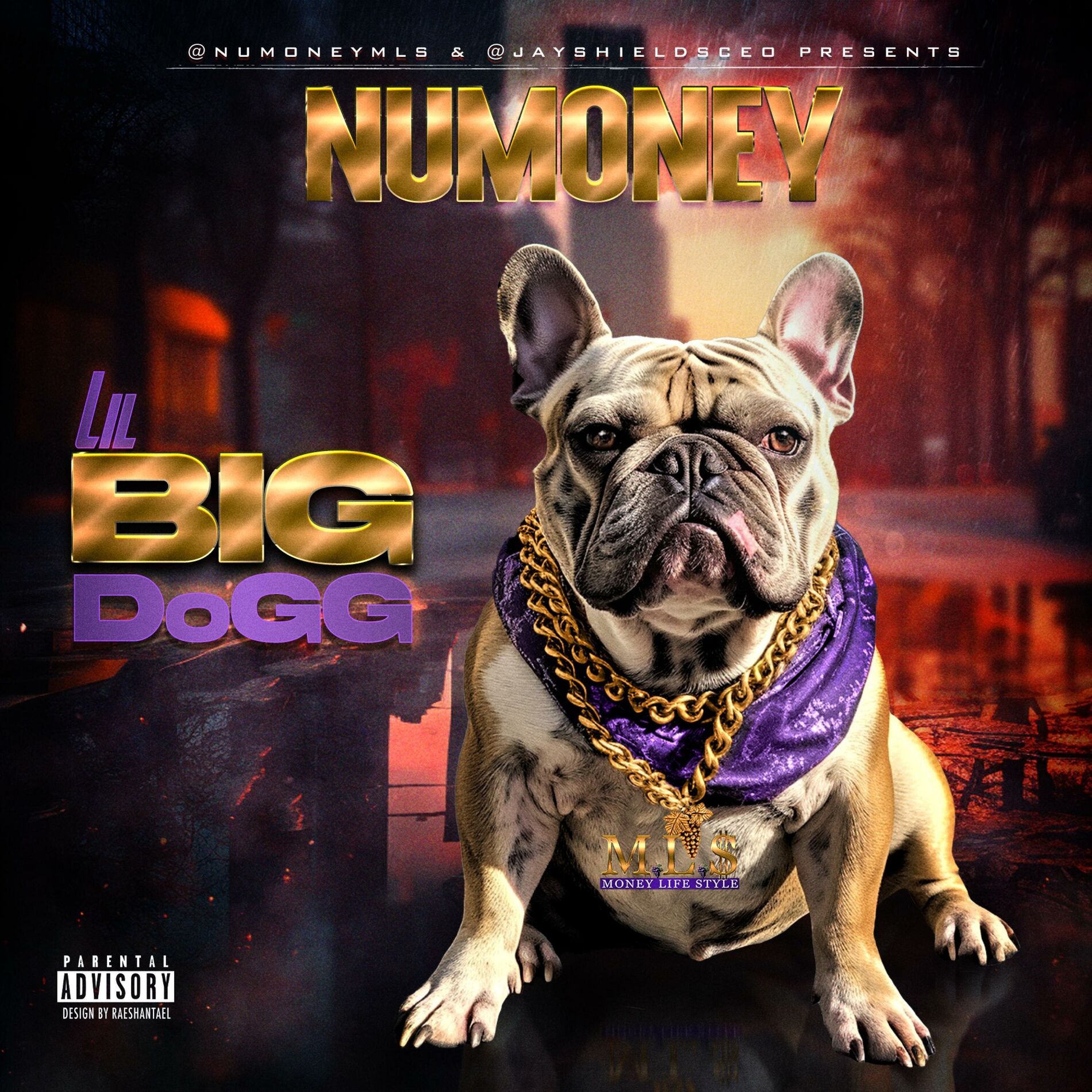 Album cover of Lil Big DoGG