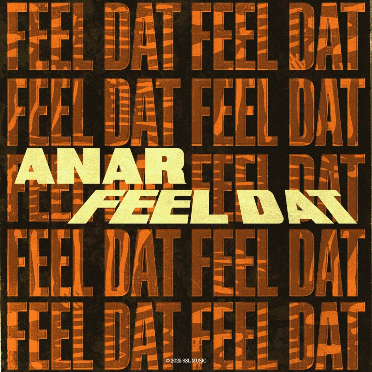 Album cover of Feel Dat