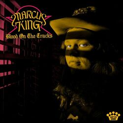 Cover of Blood on the Tracks