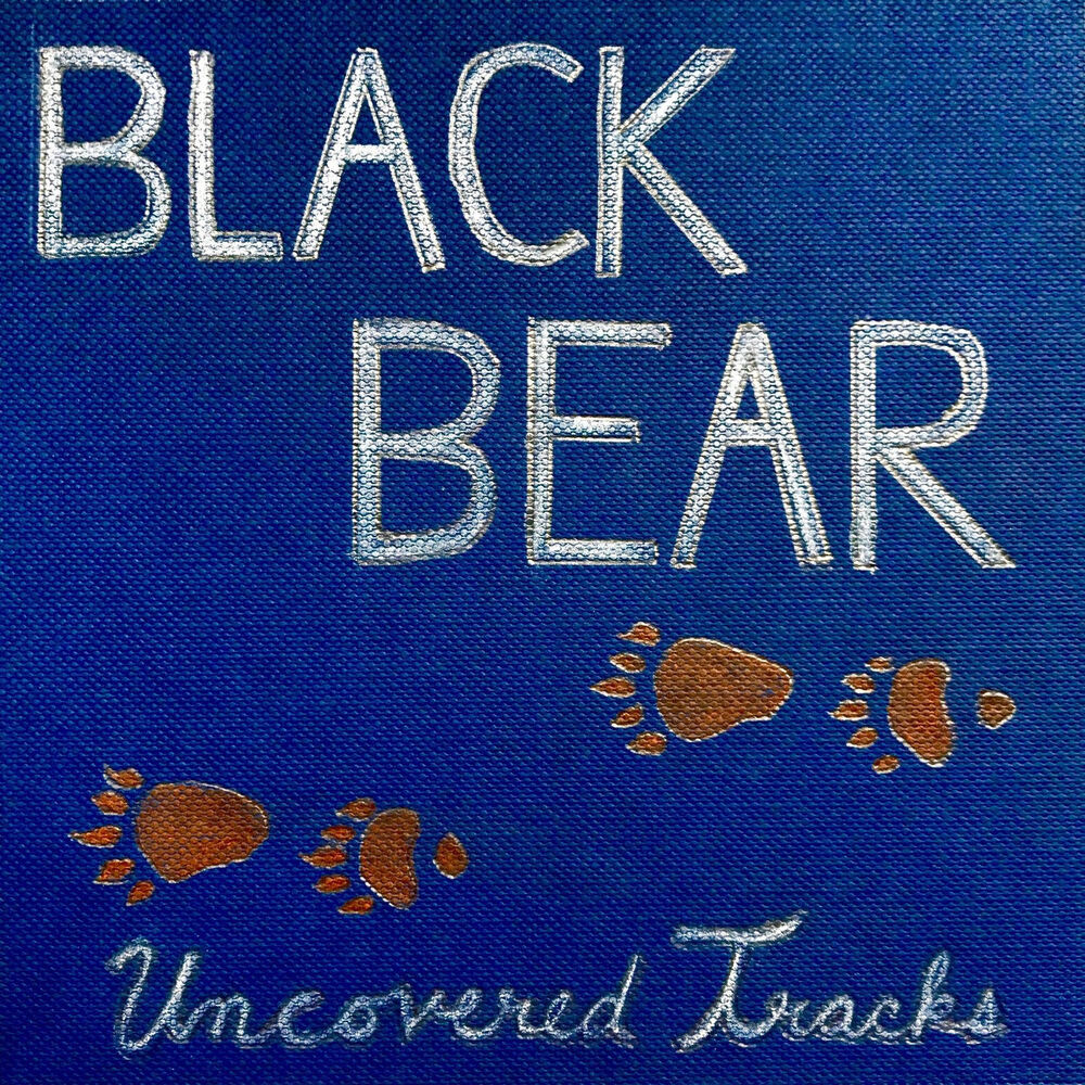 Picture of Uncovered Tracks