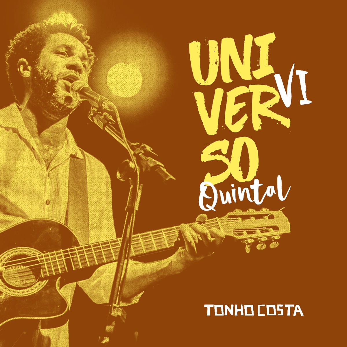 Album cover of Universo Quintal VI