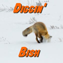 Cover of Diggin'