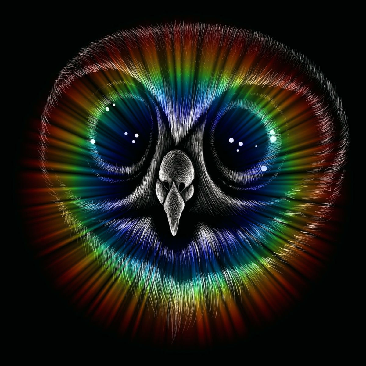 Album cover of Crazy Cat