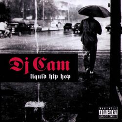 Cover of Liquid Hip Hop