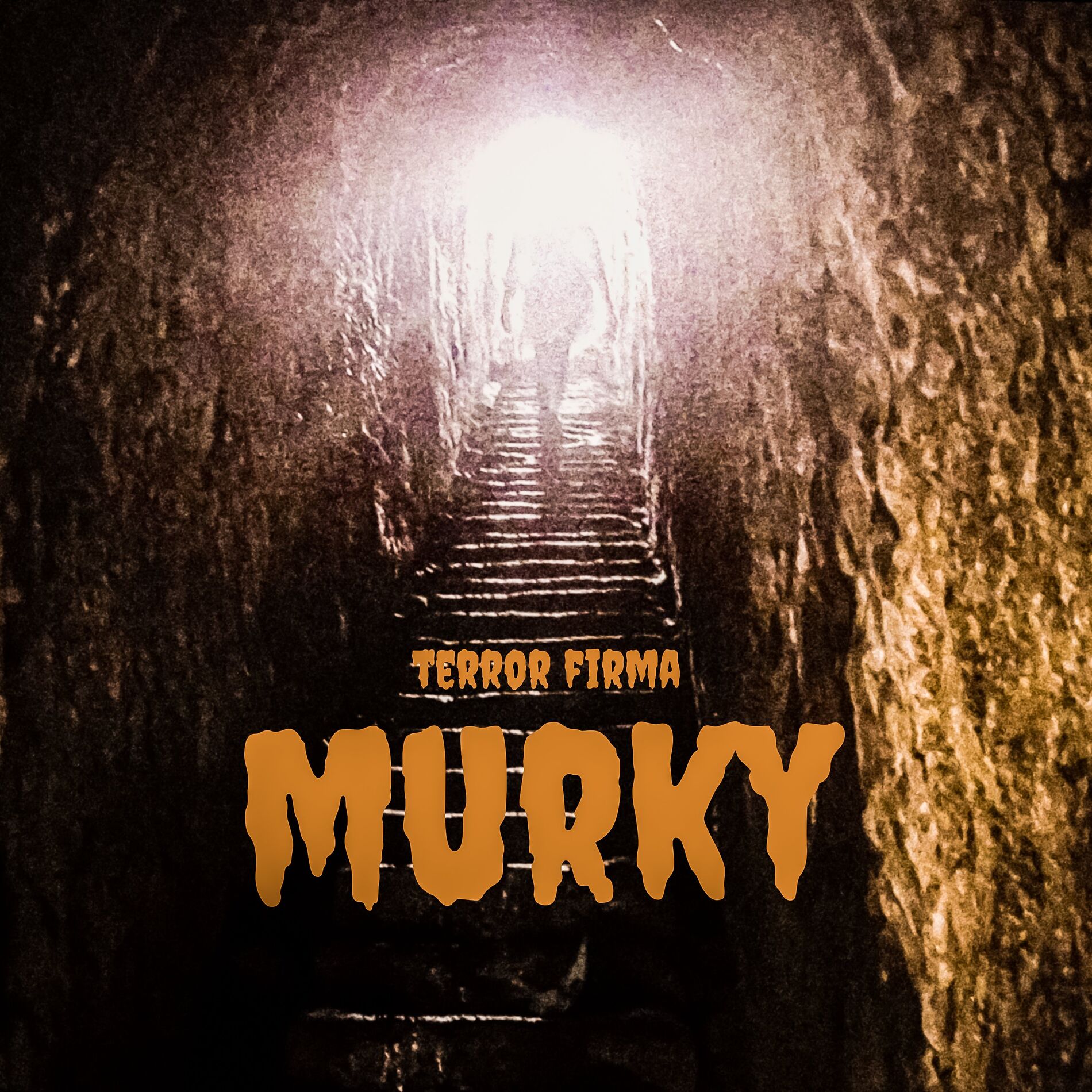 Album cover of Murky