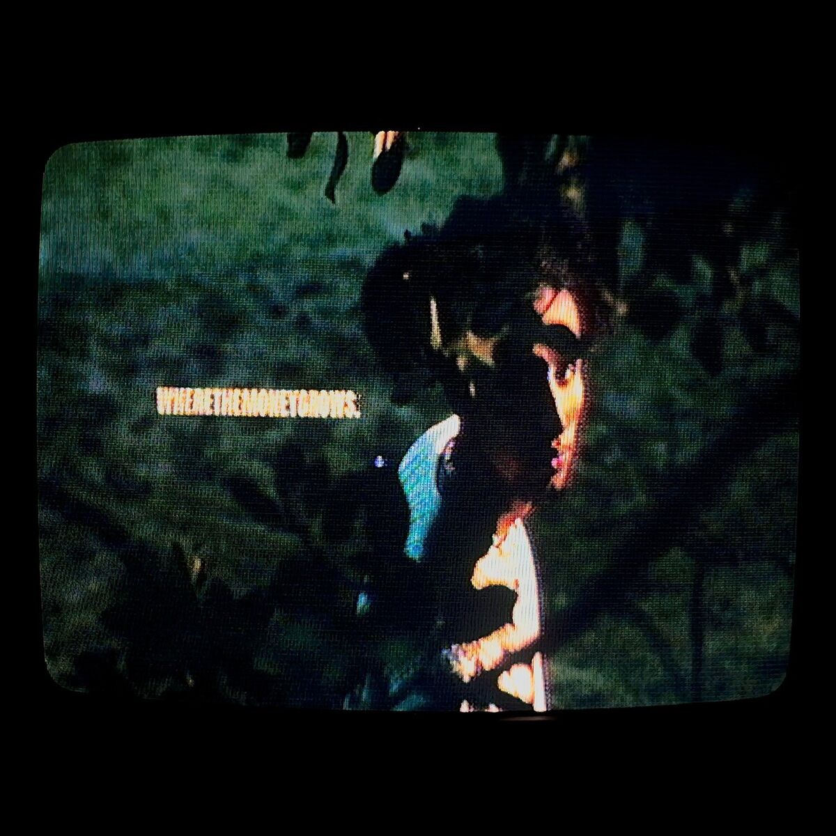 Album cover of WHERETHEMONEYGROWS.