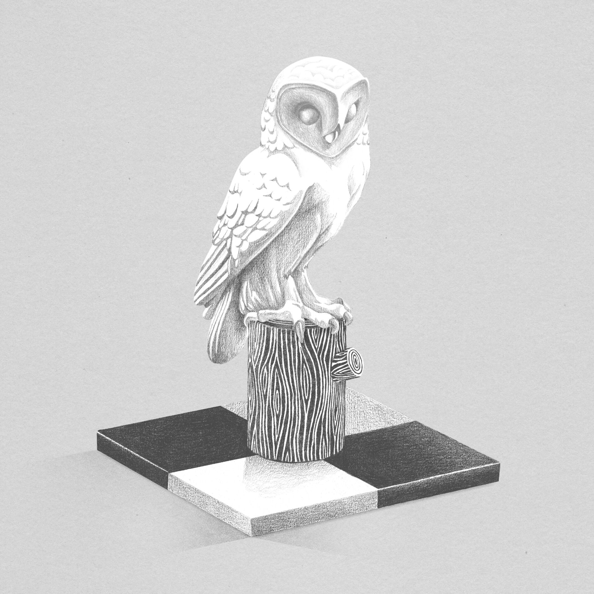 Album cover of Swimming Stone