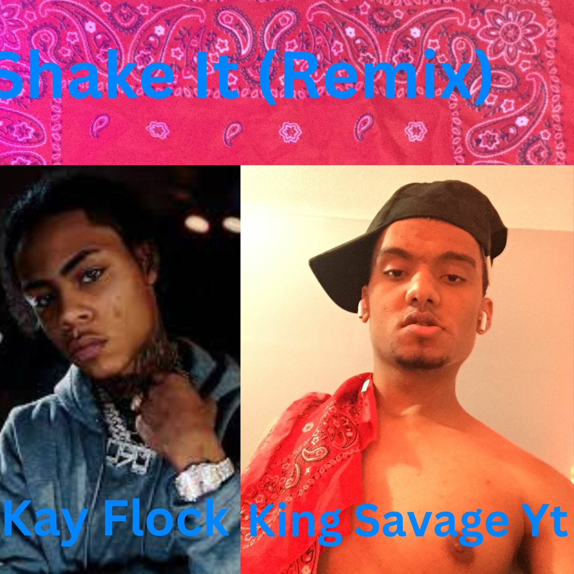 Album cover of Shake It (Remix)