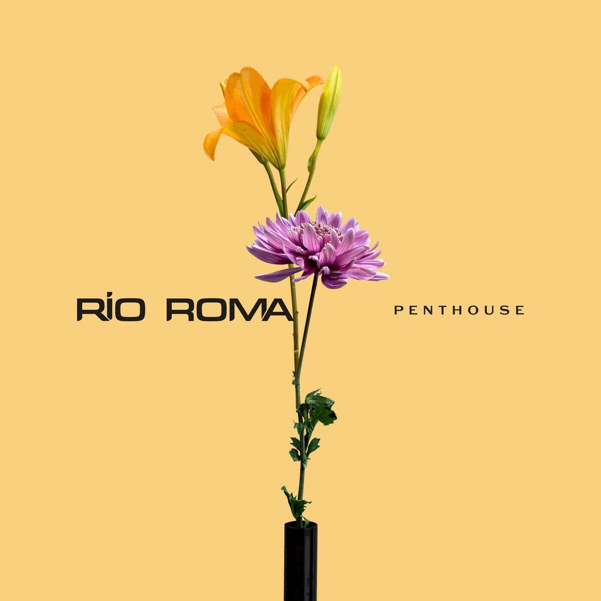 Album cover of Penthouse
