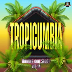 Cover of Cumbia Con Sabor Vol. 14