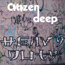 Cover of Heavy Duty