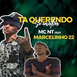 Cover of Ta Querendo Se Envolver