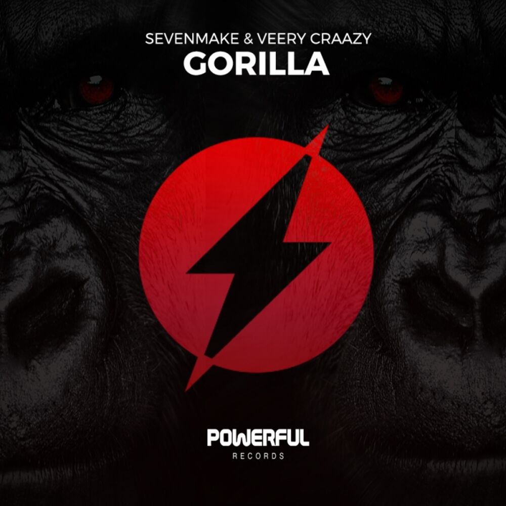 Picture of Gorilla