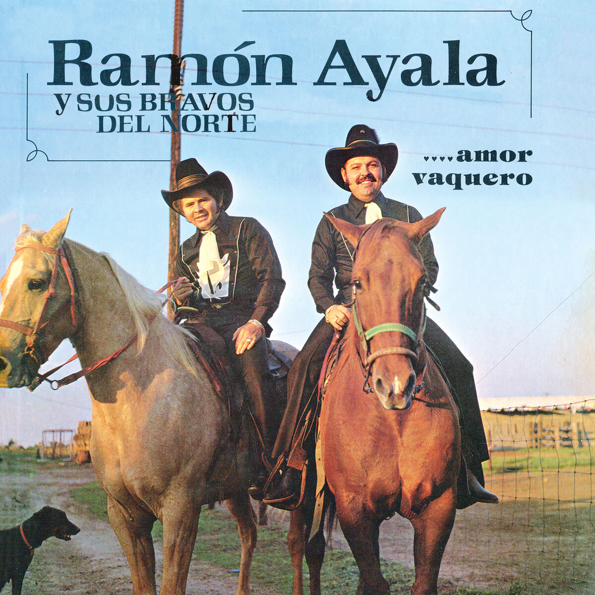 Album cover of Mi Último Adiós