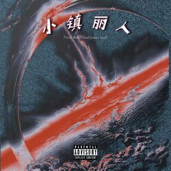 Cover of 小镇丽人